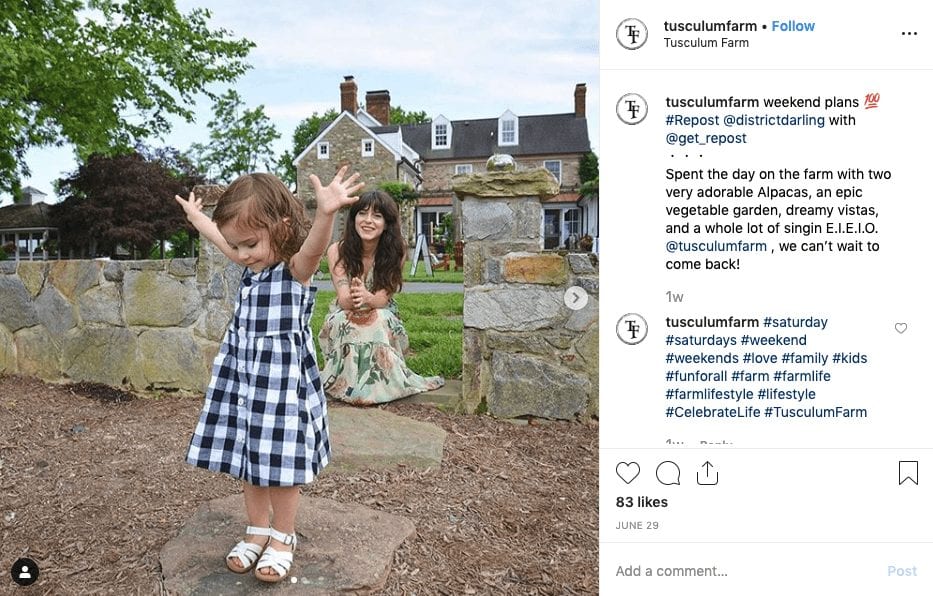 , Instagram Marketing Tips for B&#038;B&#8217;s &#038; Hotels from an Instagram Influencer, Odysys